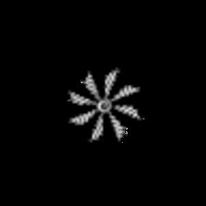 Meet your Posher, Vicky